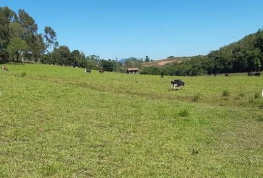 Fazenda, Zona Rural, 3 Quartos, 0 Vaga