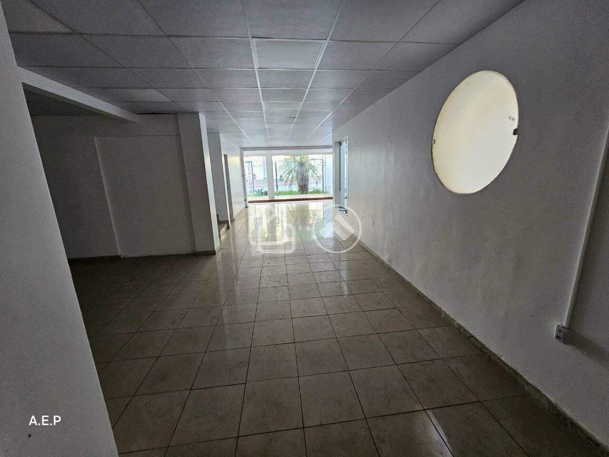 Casa, Lourdes, 4 Quartos, 12 Vagas