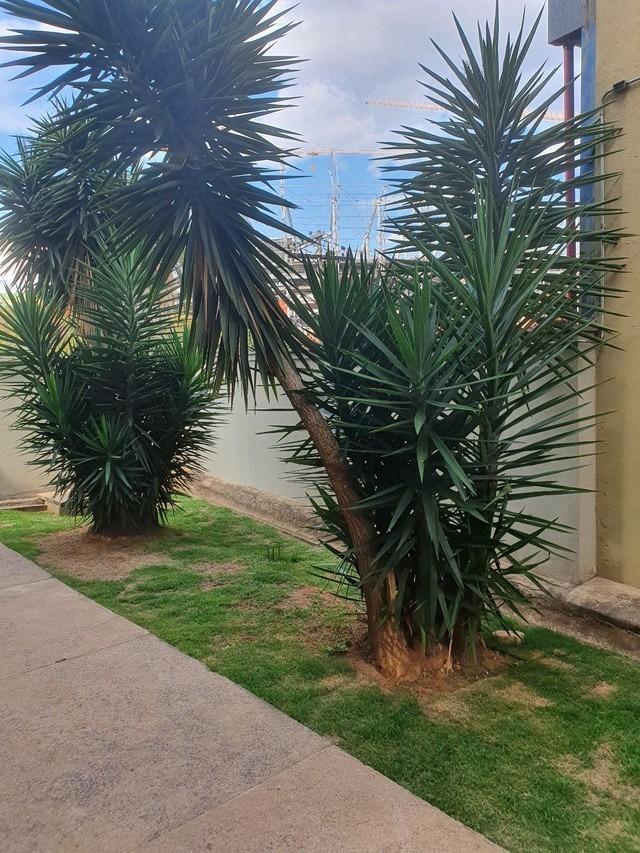 Apartamento, Santa Maria, 3 Quartos, 1 Vaga