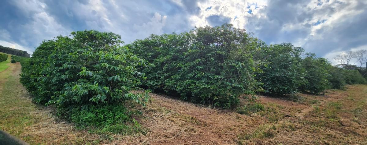 Fazenda, Zona Rural, 3 Quartos, 0 Vaga