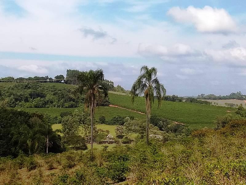 Fazenda, Zona Rural, 0 Quarto, 0 Vaga
