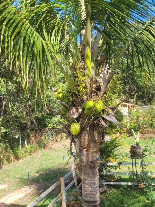 Fazenda, Encontro das Águas, 3 Quartos, 2 Vagas