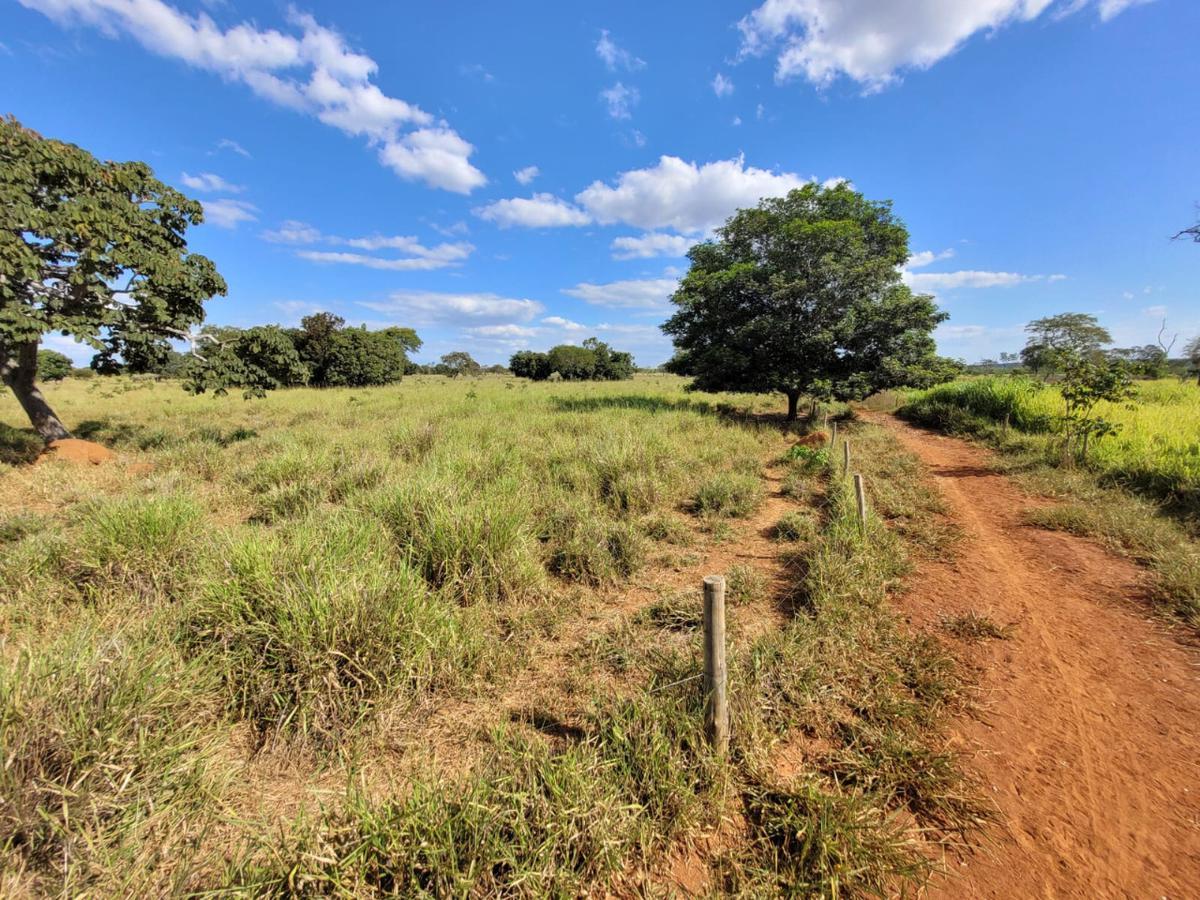 Fazenda, Centro, 0 Quarto, 0 Vaga, 1 Suíte