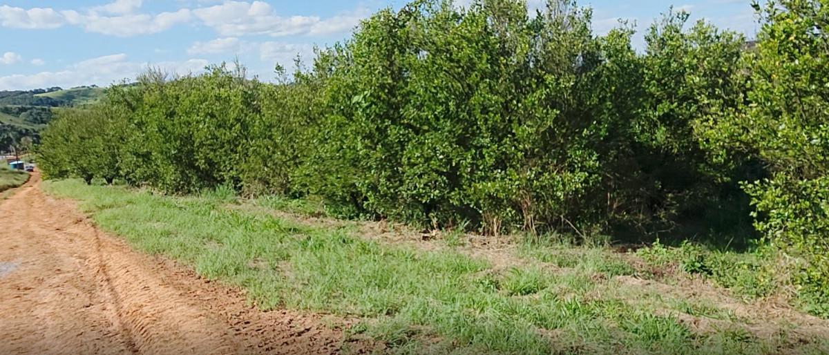 Fazenda, Zona Rural, 3 Quartos, 0 Vaga, 1 Suíte