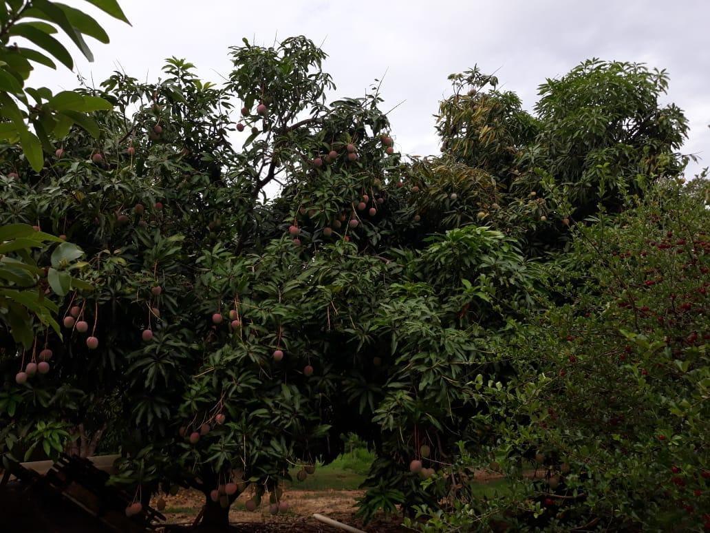 Fazenda, Zona Rural, 4 Quartos, 0 Vaga, 1 Suíte