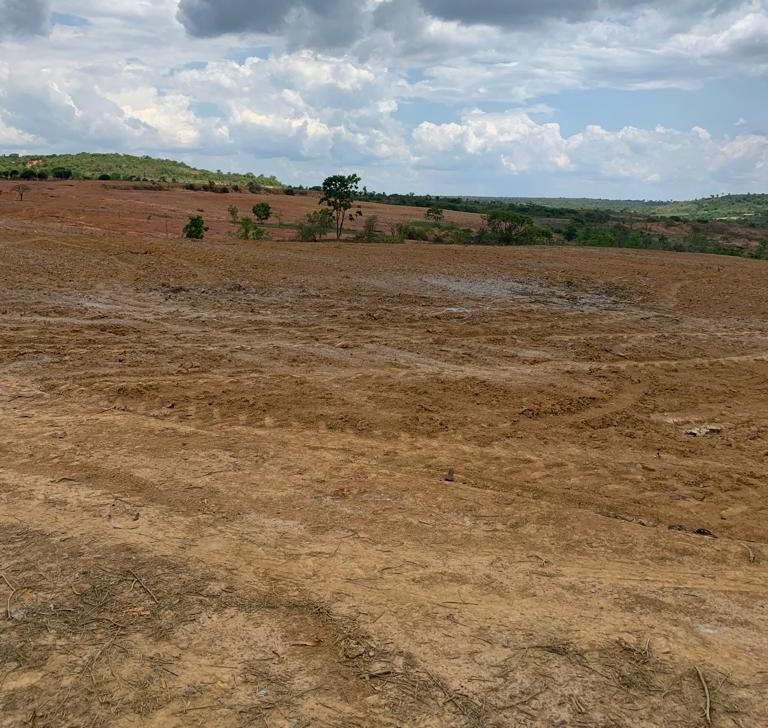 Fazenda, Zona Rural, 3 Quartos, 0 Vaga