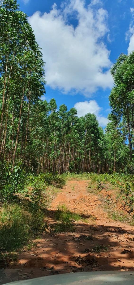 Fazenda, Zona Rural, 0 Quarto, 0 Vaga