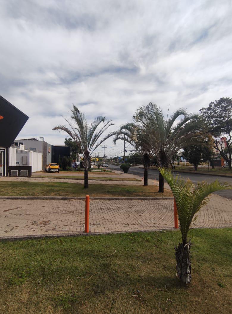 Andar, Castelo, 0 Quarto, 0 Vaga