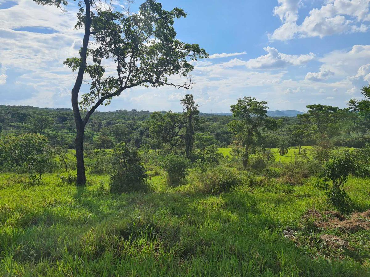 Lote, Novo Retiro, 0 Quarto, 0 Vaga