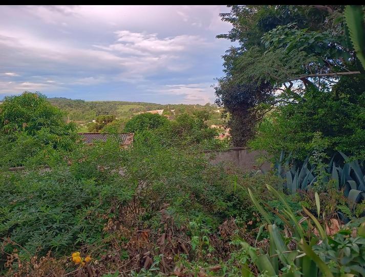 Lote, Granja Vista Alegre, 0 Quarto, 0 Vaga