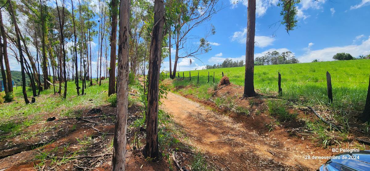 Fazenda, Zona Rural, 2 Quartos, 0 Vaga