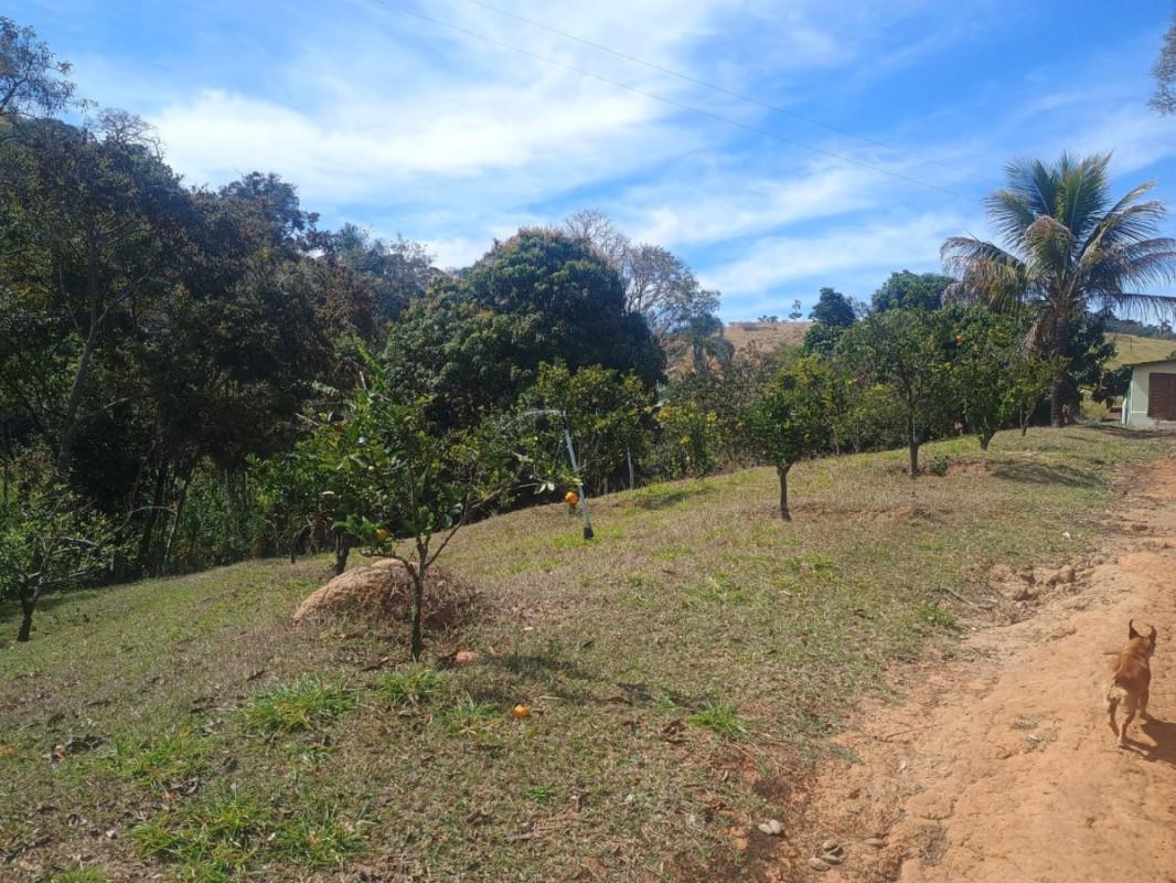 Fazenda, Centro, 7 Quartos, 0 Vaga, 2 Suítes