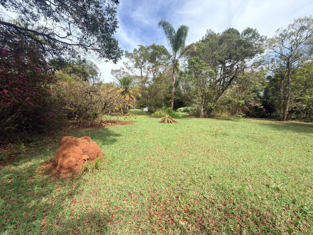 Lote, Lagoa do Miguelão, 0 Quarto, 0 Vaga