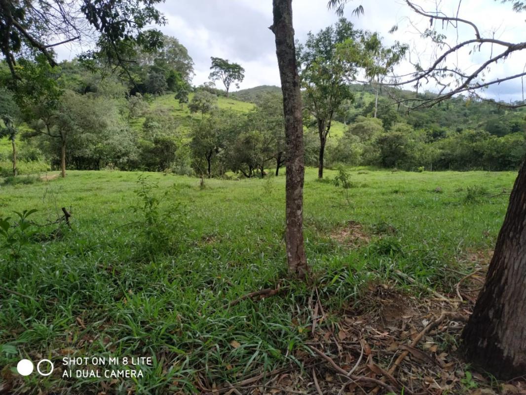 Fazenda, Centro, 0 Quarto, 0 Vaga