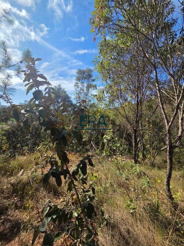 Lote, Village Sans Souci, 0 Quarto, 0 Vaga
