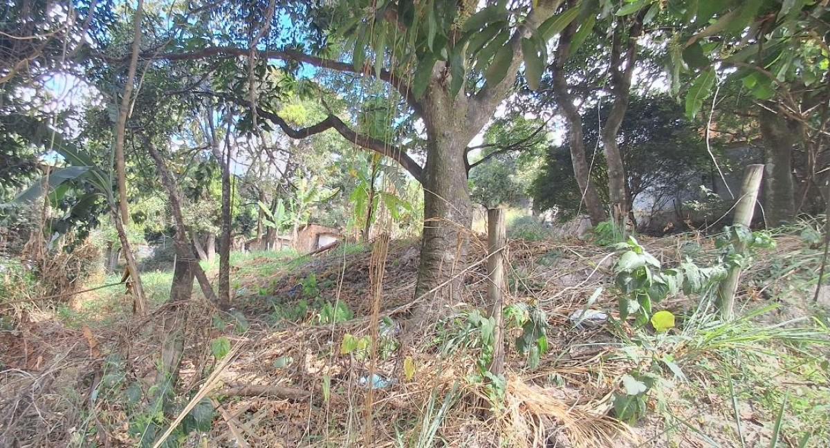 Lote, São Jorge, 0 Quarto, 0 Vaga