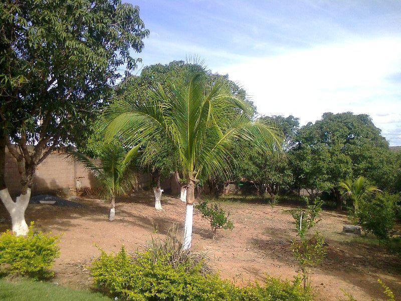 Fazenda, Centro, 5 Quartos, 5 Vagas, 1 Suíte