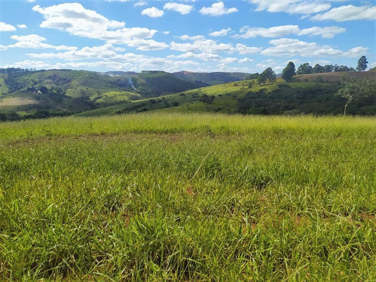 Fazenda, Centro, 2 Quartos, 1 Vaga, 1 Suíte