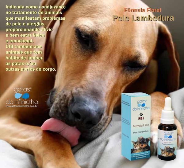 Florais No Tratamento de Animais