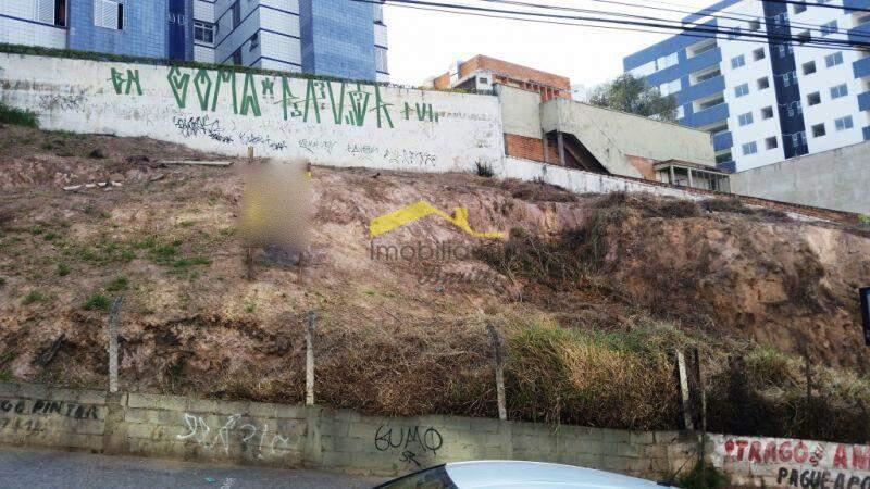 Lote, Buritis