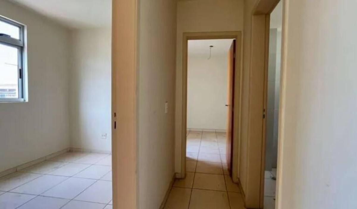 Cobertura, Nova Suíssa, 2 Quartos, 1 Vaga, 1 Suíte