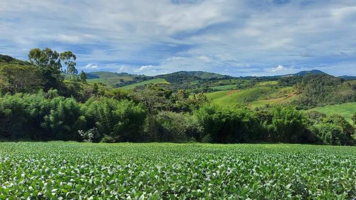Fazenda, Zona Rural, 3 Quartos, 0 Vaga