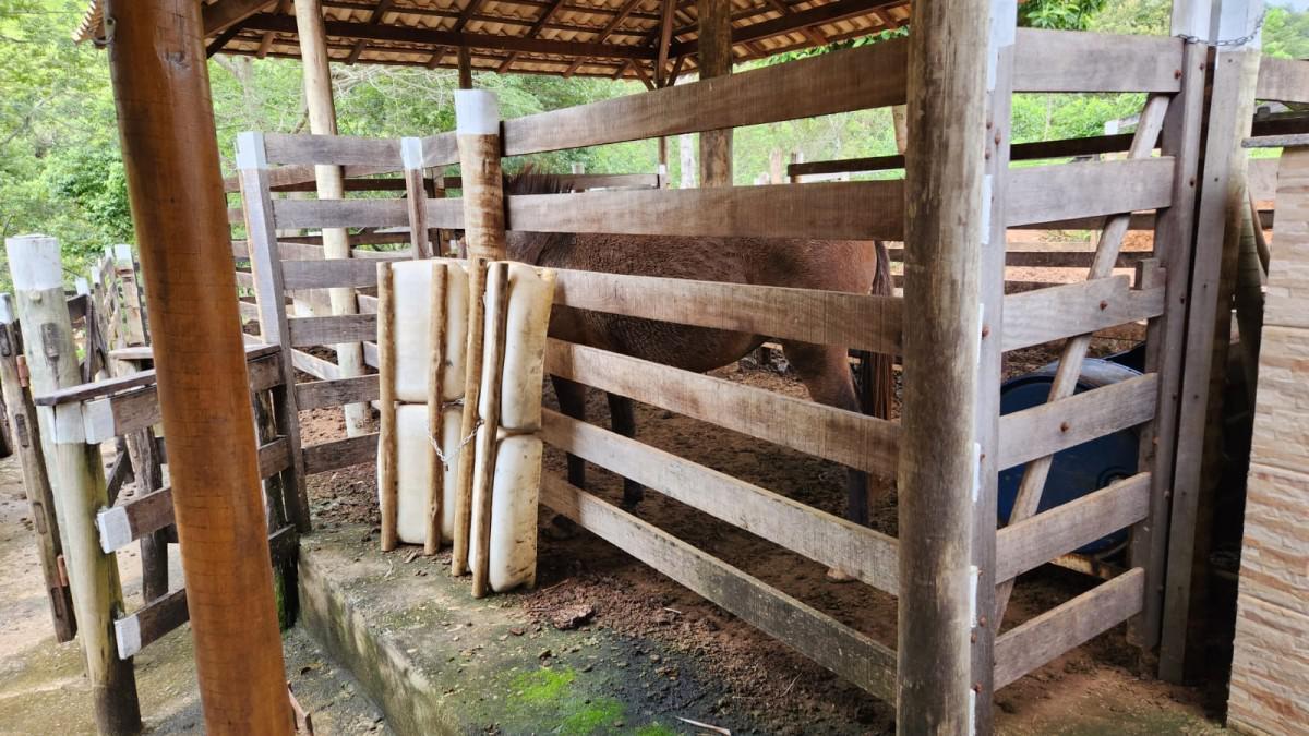 Fazenda, Zona Rural, 2 Quartos, 0 Vaga, 1 Suíte