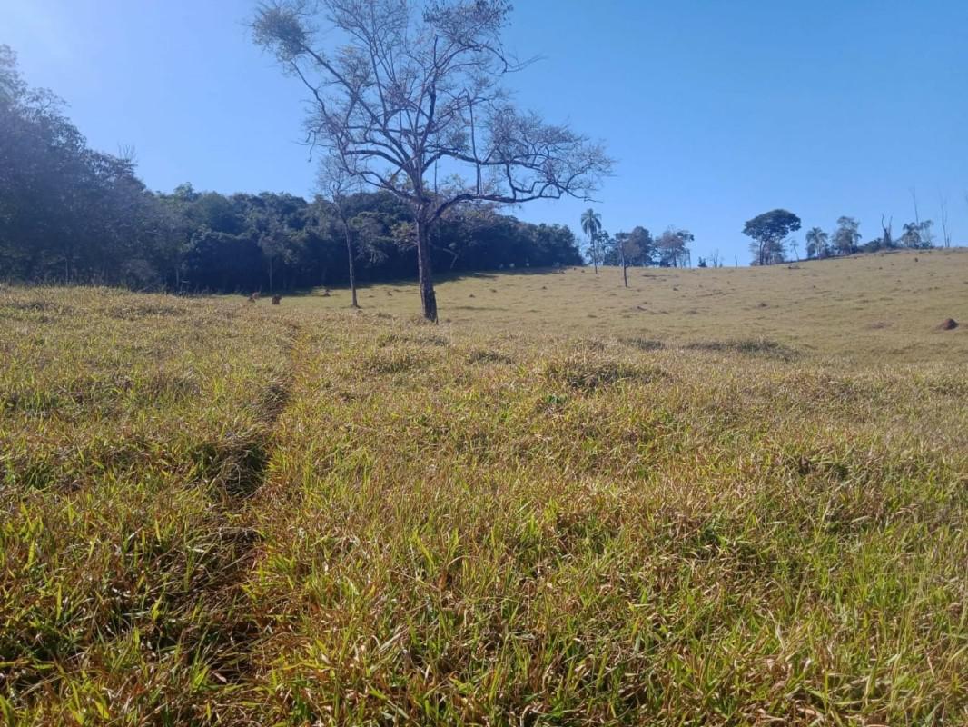 Fazenda, Centro, 0 Quarto, 0 Vaga