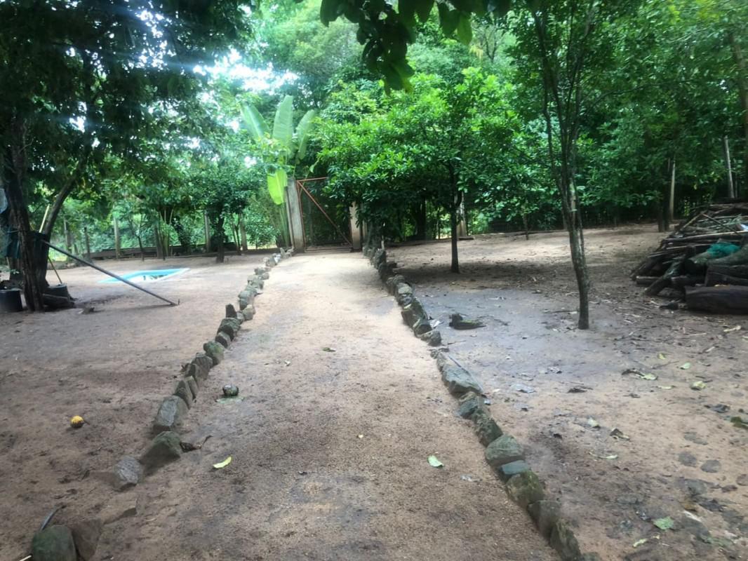 Fazenda, Centro, 4 Quartos, 0 Vaga