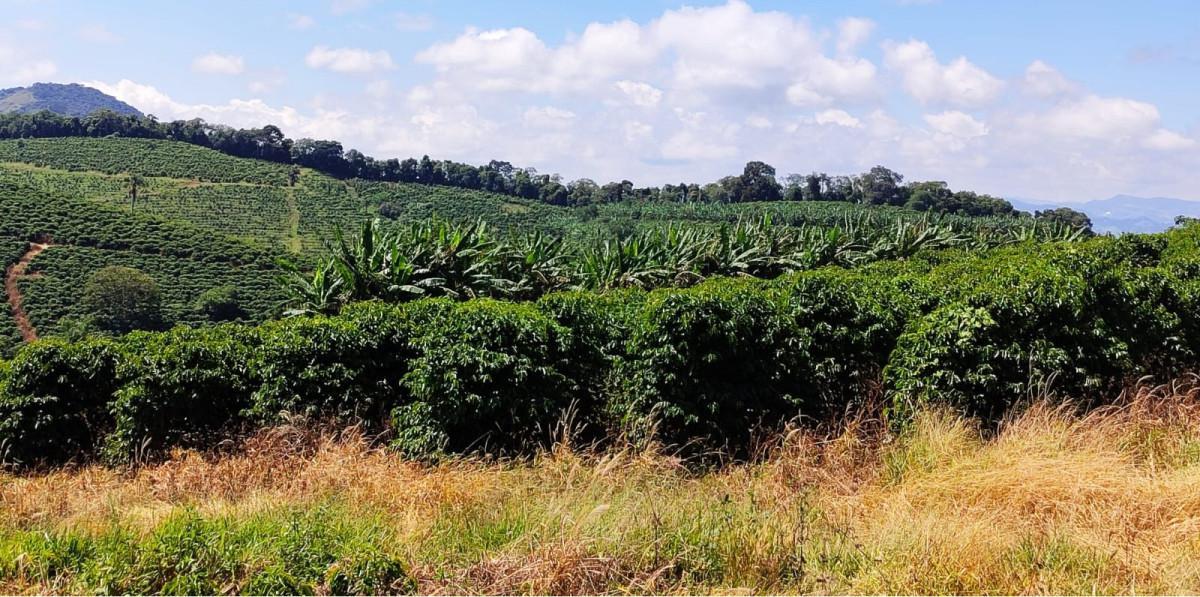 Fazenda, Zona Rural, 0 Quarto, 0 Vaga