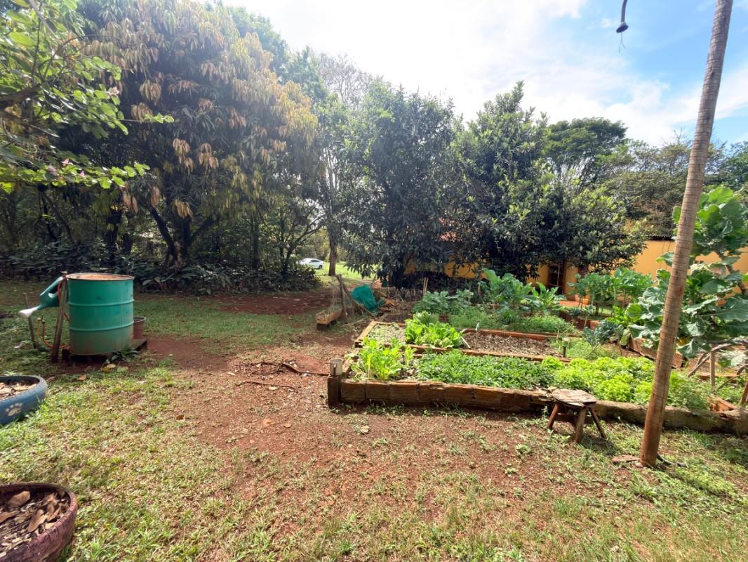 Lote, Lagoa do Miguelão, 0 Quarto, 0 Vaga