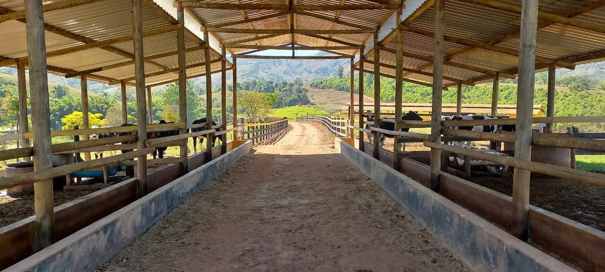 Fazenda, Centro, 4 Quartos, 2 Vagas, 1 Suíte