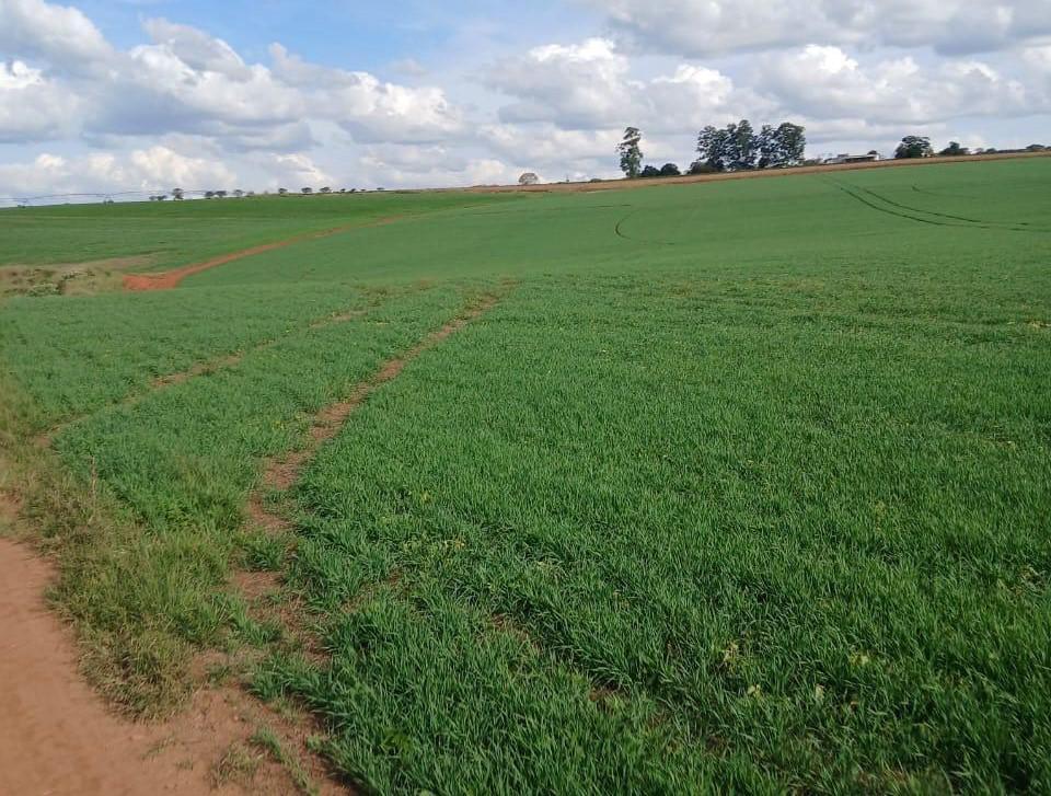Fazenda, Zona Rural, 3 Quartos, 0 Vaga