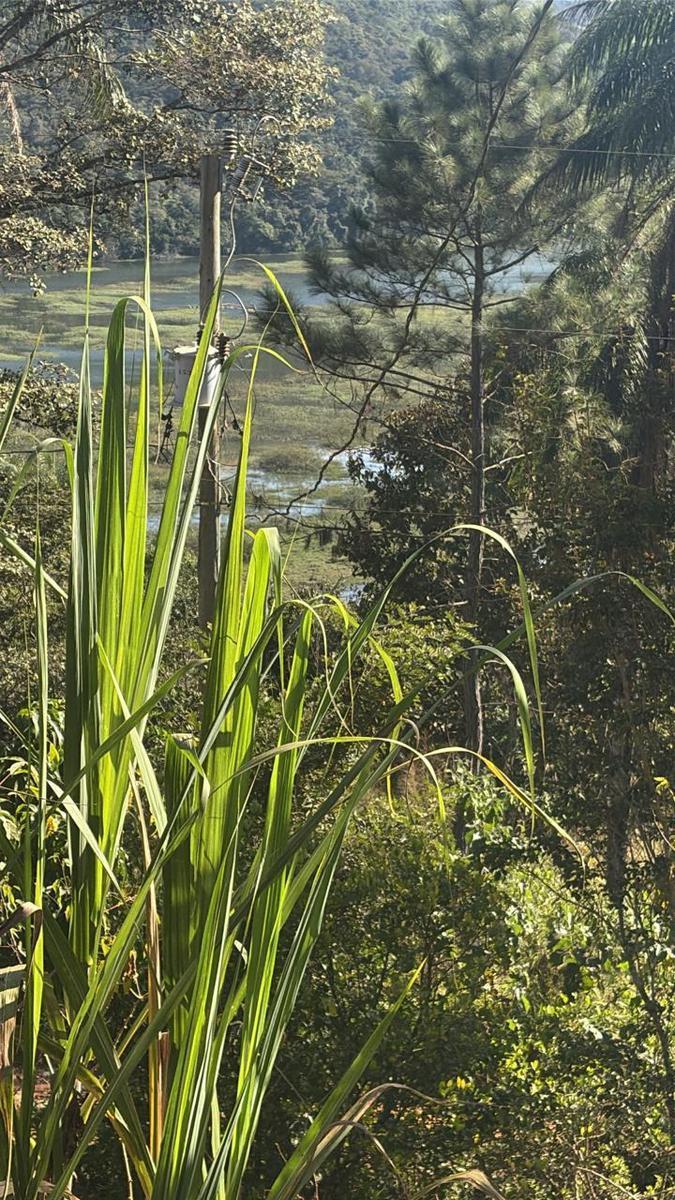 Fazenda, Acurui, 3 Quartos, 2 Vagas, 1 Suíte