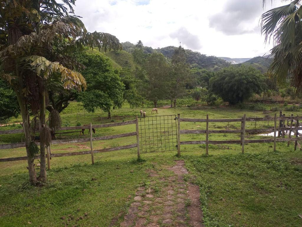 Fazenda, Centro, 3 Quartos, 0 Vaga, 1 Suíte