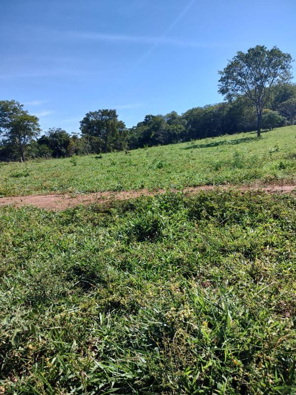 Fazenda, Centro, 0 Quarto, 0 Vaga