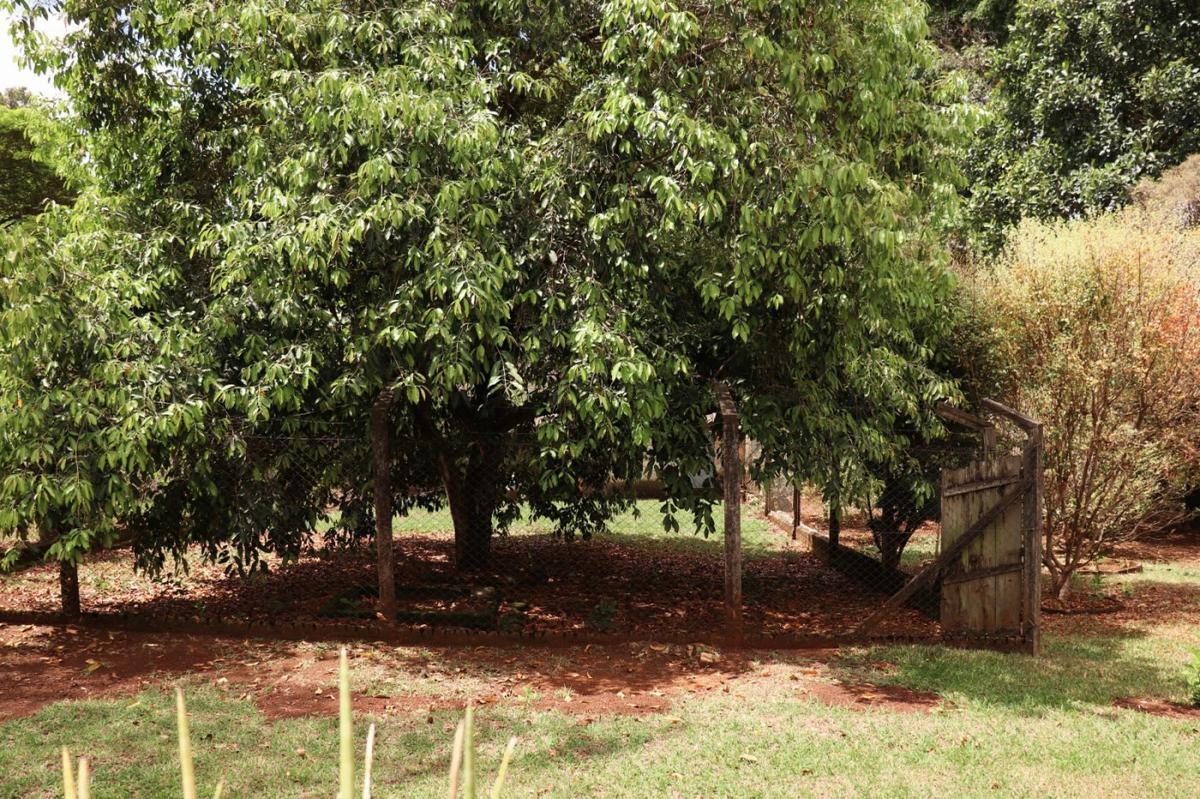 Fazenda, Parque Jardim Encantado, 4 Quartos, 4 Vagas, 1 Suíte
