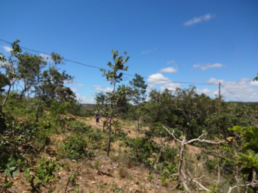 Fazenda, Zona Rural, 1 Quarto, 0 Vaga, 1 Suíte