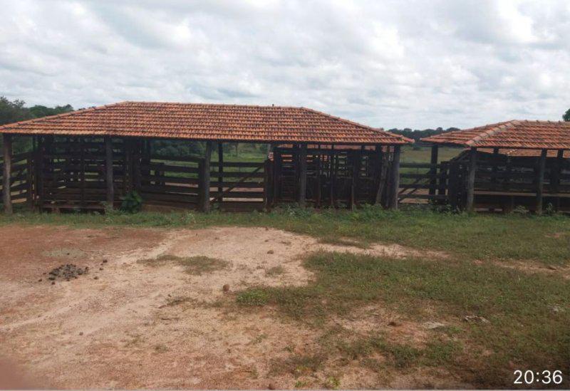 Fazenda, Centro, 0 Quarto, 0 Vaga