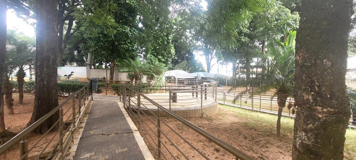 Apartamento, Betânia, 2 Quartos, 1 Vaga