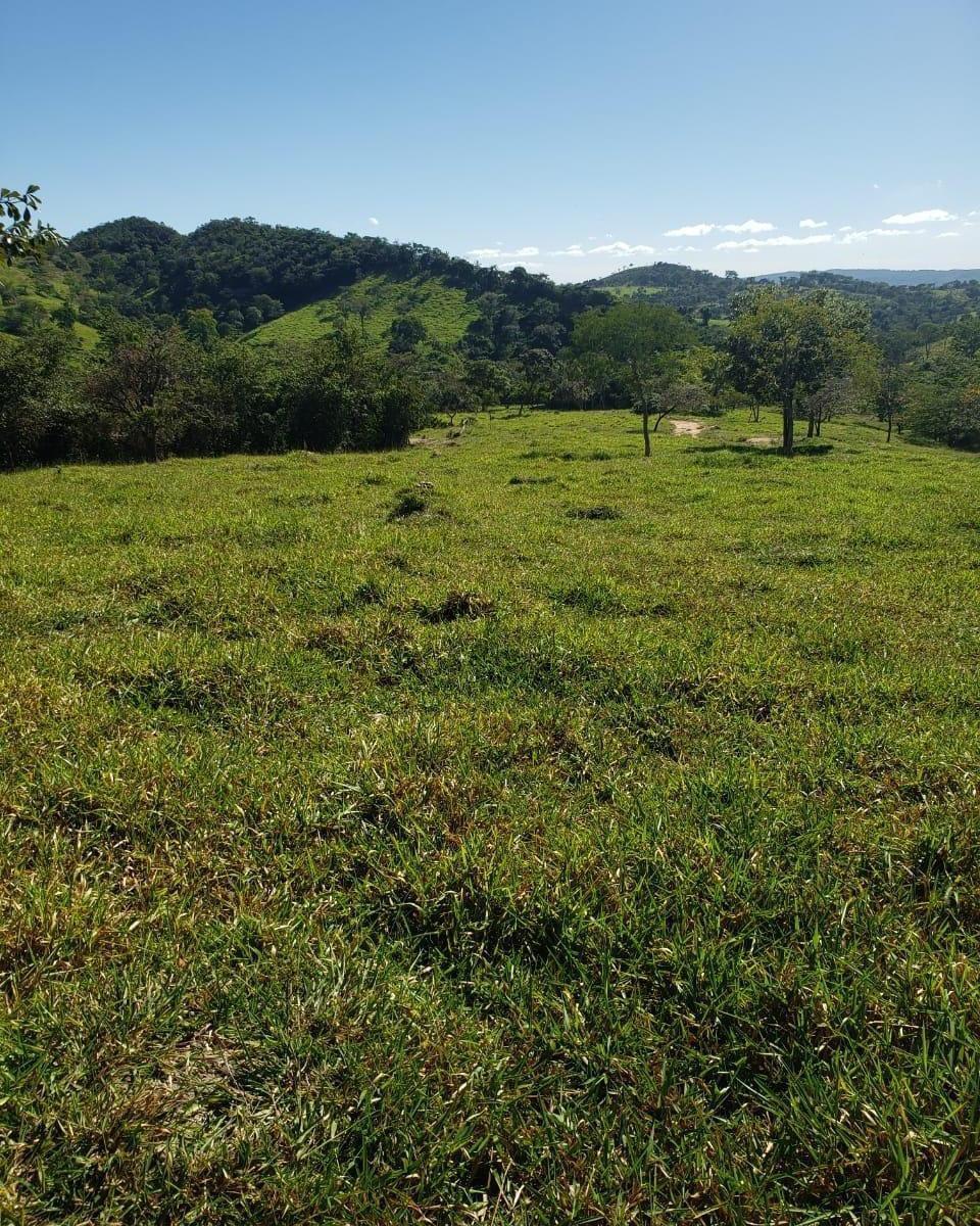 Fazenda, Centro, 1 Quarto, 0 Vaga