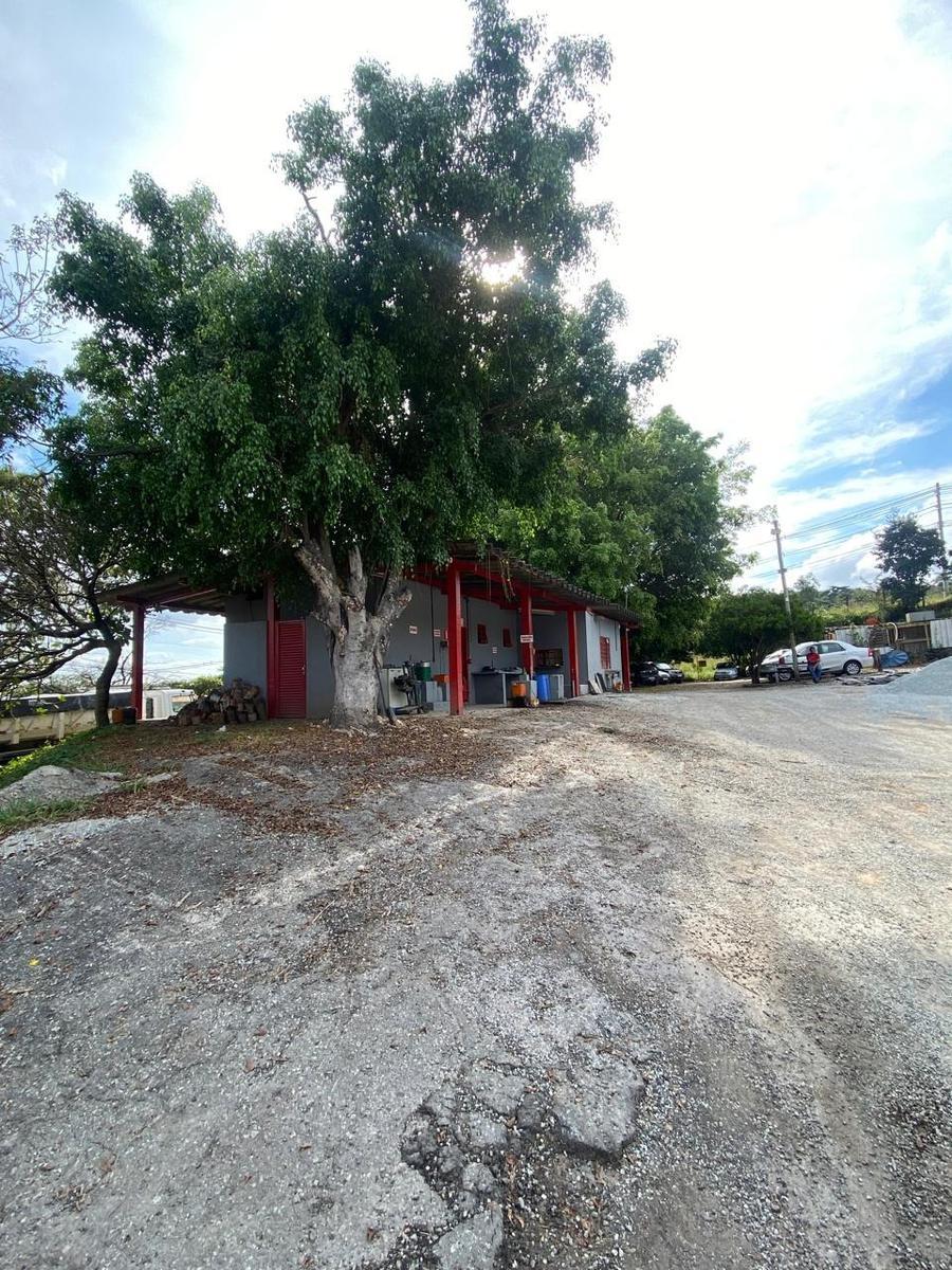 Lote, Liberdade, 0 Quarto, 0 Vaga