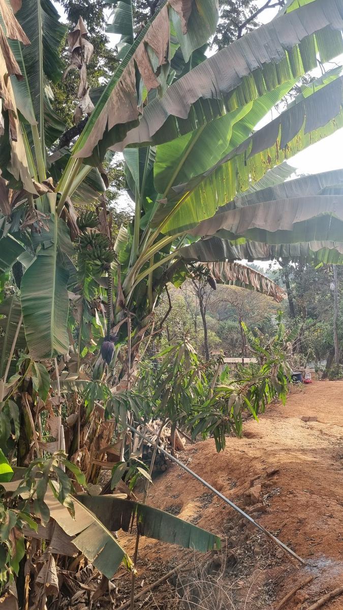 Fazenda, Mario Campos, 3 Quartos, 0 Vaga