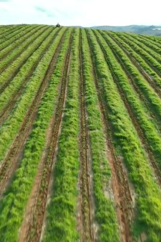Fazenda, Zona Rural, 0 Quarto, 0 Vaga