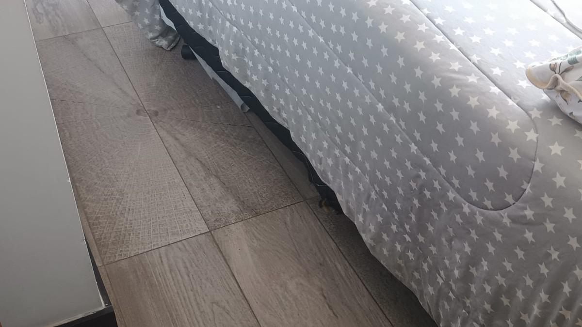 Apartamento, Nova Suíssa, 3 Quartos, 1 Vaga, 1 Suíte