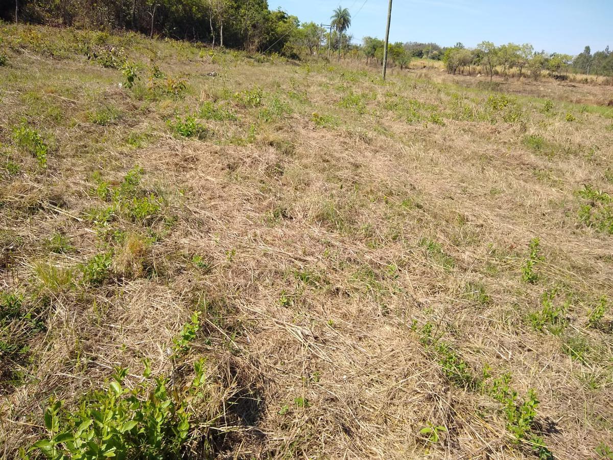 Lote, Zona Rural, 0 Quarto, 0 Vaga