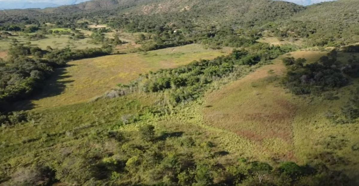 Fazenda, Centro, 4 Quartos, 0 Vaga