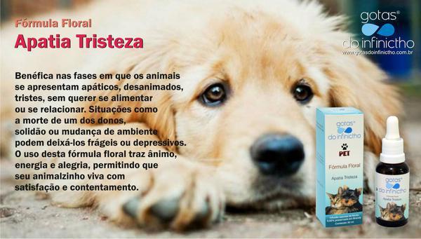 Florais No Tratamento de Animais