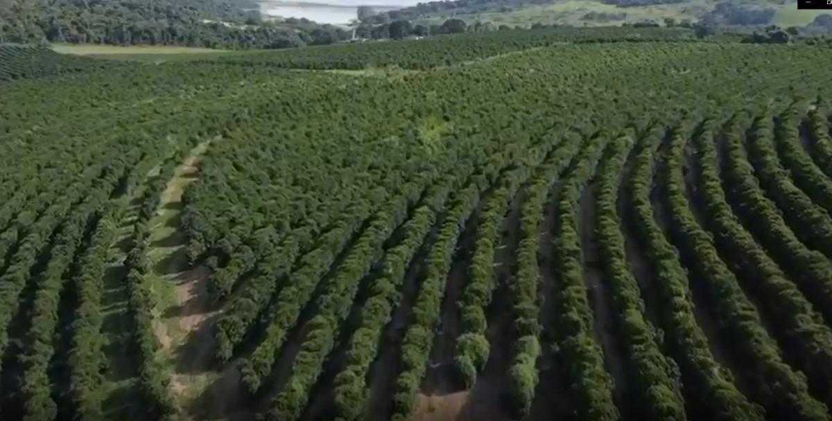 Fazenda, Zona Rural, 0 Quarto, 0 Vaga