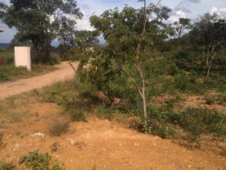Fazenda, Centro, 0 Quarto, 0 Vaga